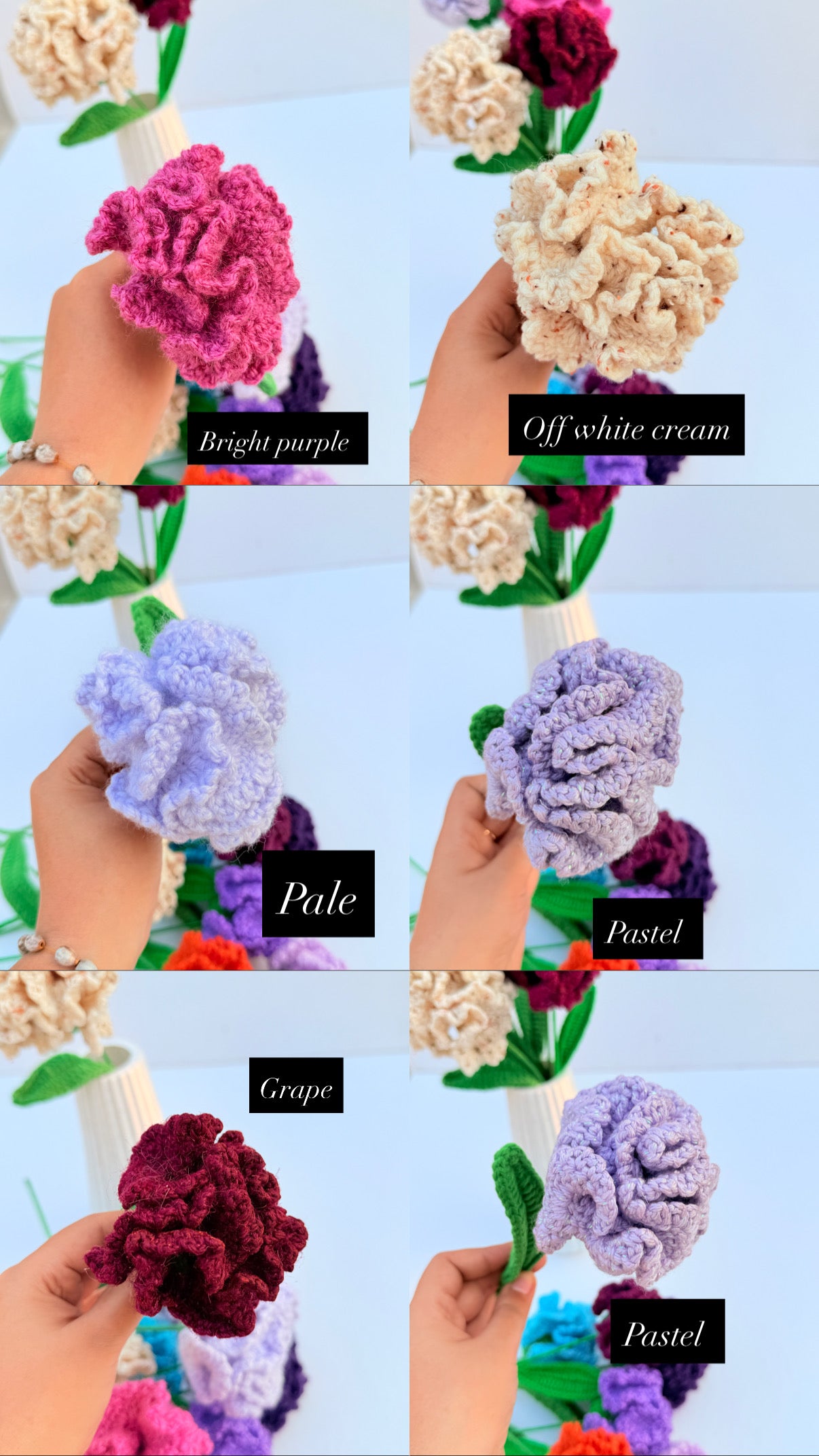 Carnation stick
