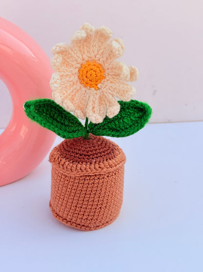 Daisy Flower pot