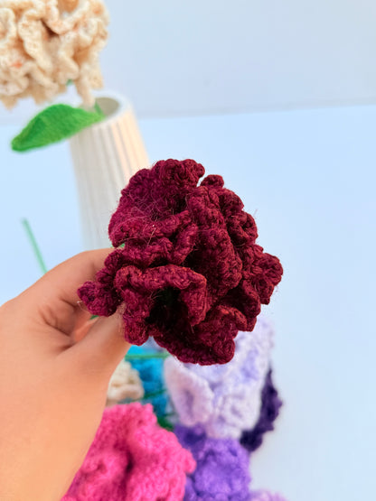 Carnation stick