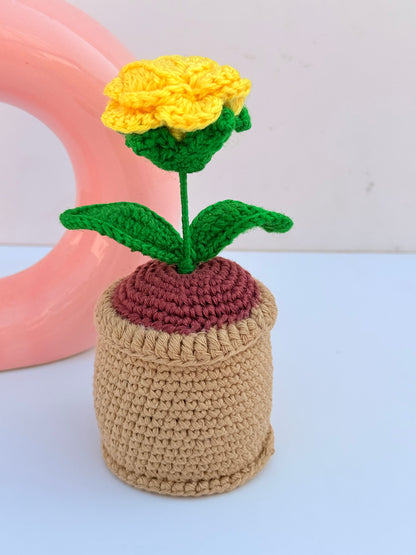 Rose pot