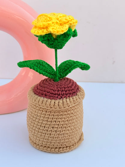 Rose pot
