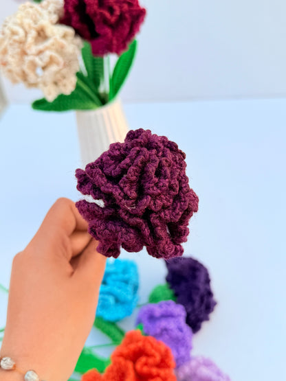 Carnation stick