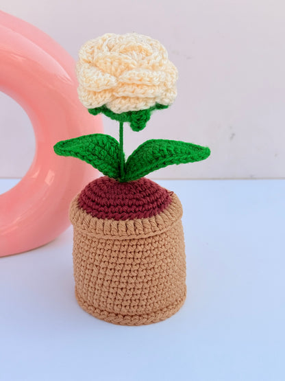 Rose pot