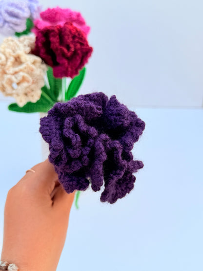 Carnation stick