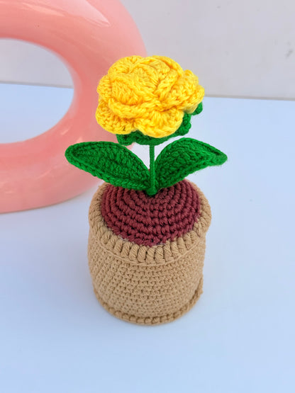 Rose pot