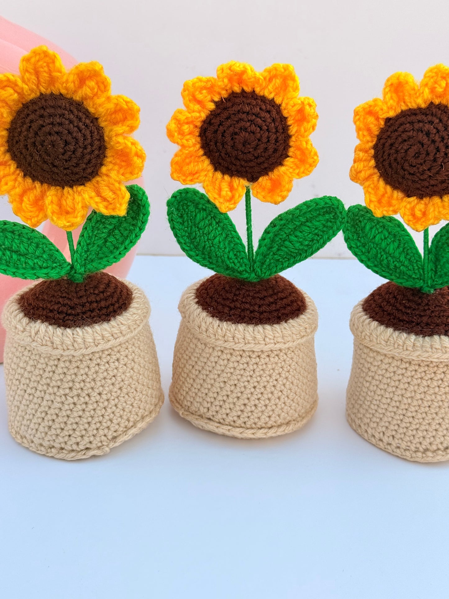 Sunflower pot