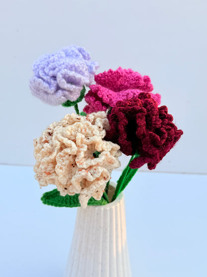 Carnation stick