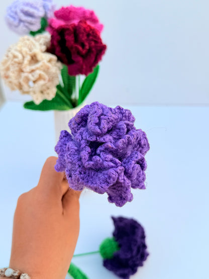 Carnation stick