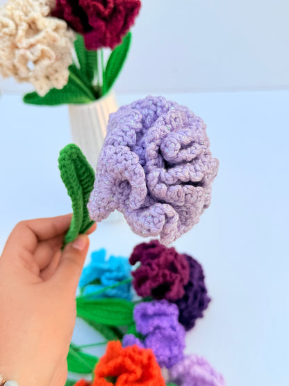 Carnation stick