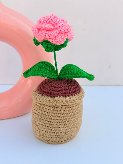 Rose pot