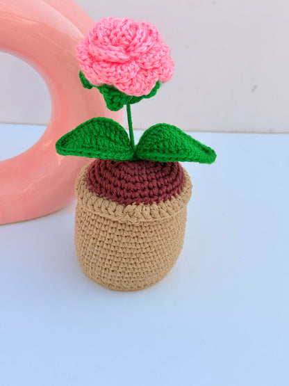 Rose pot
