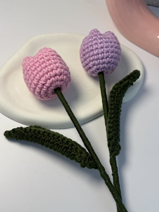 Tulip flowers