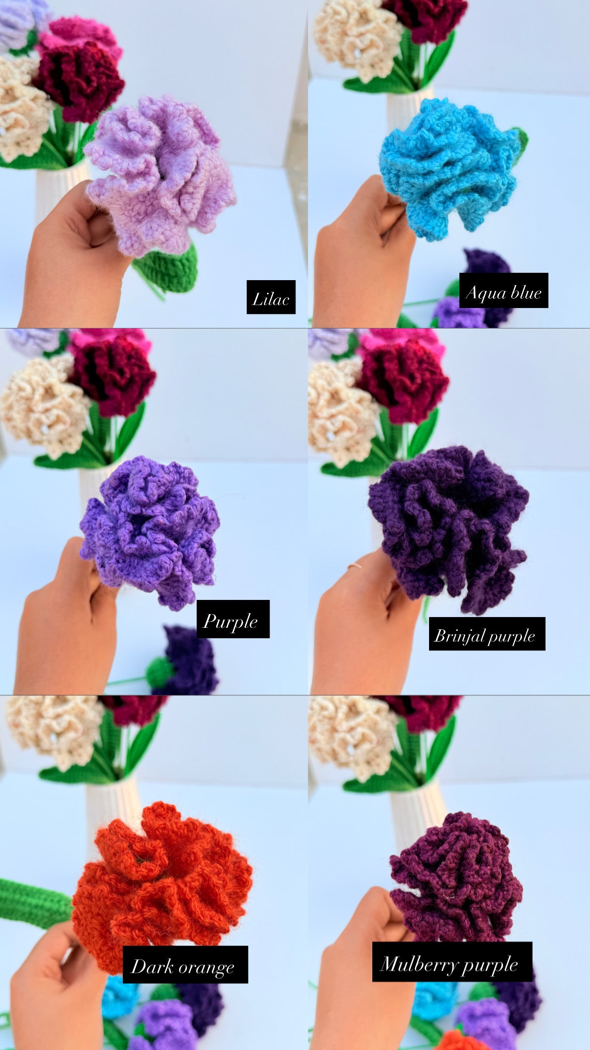 Carnation stick