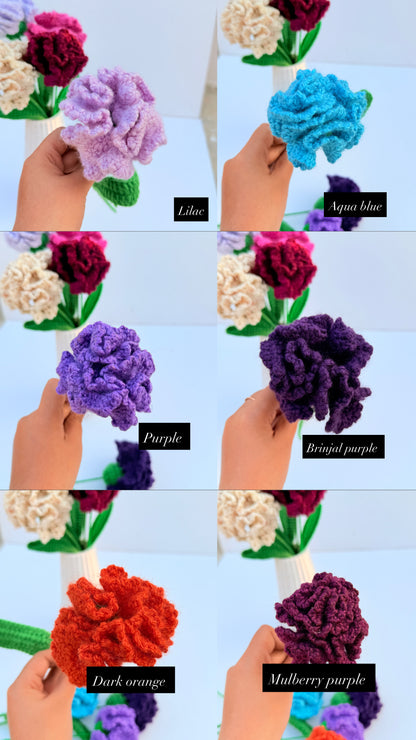 Carnation stick