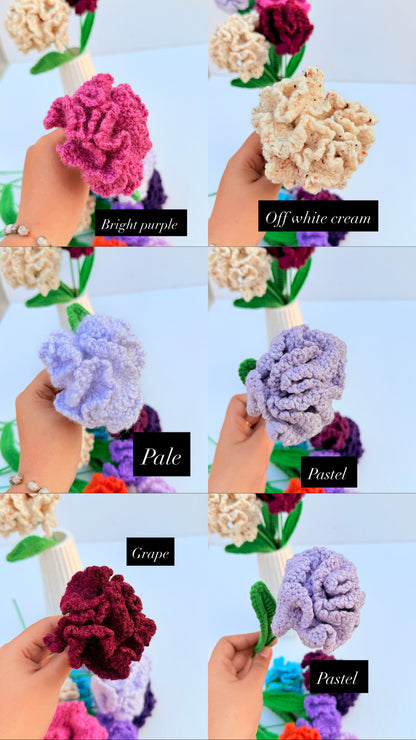 Carnation stick